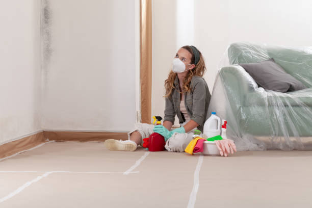 Trusted Mold Inspection service in Mechanicsville, VA - Cheap Mold Removal